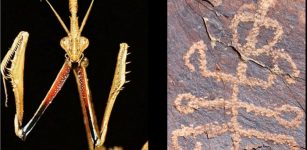 The 'squatter mantis man' petroglyph next to a 10 cm scale bar.