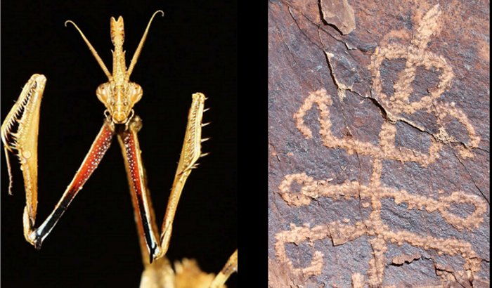 The 'squatter mantis man' petroglyph next to a 10 cm scale bar.