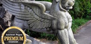 Strange Ancient Mechanical Flying Animals - Myths Or Advanced Ancient Technology? – Part 1