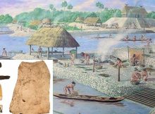 Calusa Indians used hundreds of millions of shells.