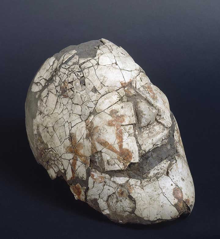 Faces molded on the skulls were often covered with thin gypsum layer painted with ornaments. Pictures: Elga Vadetskaya, The State Hermitage Museum