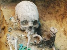 Artificially deformed skull of an adult woman. Permanent binding during childhood caused the elongation of the braincase and the depressions in the bone. Credit: Balázs G. Mende. Research Centre for the Humanities, Hungarian Academy of Sciences, Budapest, Hungary