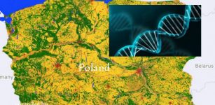 Polish DNA