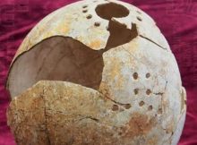 The ostrich egg vessel – of which only the ostrich egg has been found – was dismantled before it was laid in the Thracian warrior’s grave, possibly as part of a burial ritual. Photo: Veliko Tarnovo Regional Museum of History