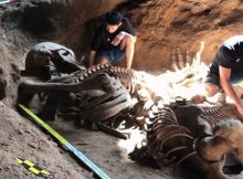 Ancient Giant Skeleton Discovered In Krabi Cave Confirms Legend Of The Nagas