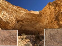 Remarkable Ancient Engravings Discovered In Unknown Cave In Sinai