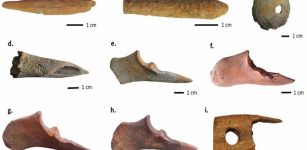 Type of bone and antler tools found at the site. Including a) a possible loom shuttle made of antler, b) a possible spindle made of antler, c) a whorl made of bone, d—g) bone awls and perforators, i) a small (broken) shearing comb made of antler. (Photo courtesy of Karim Alizadeh)