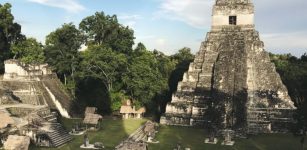The ancient Maya city of Tikal in northern Guatemala thrived from the second to ninth centuries. UC researchers found evidence of water pollution that help explain why the city was abandoned. Photo/Jimmy Baum/Unsplash