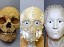 Face Of Man Who Lived In The Lost Medieval Village Of Dzwonowo Reconstructed Using 3D Printing Technology