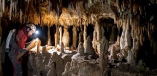 Researchers sampled this 50-cm long stalagmite in the Pozzo Cucù cave, in the Castellana Grotte area (Bari) and they carried out 27 high-precision datings and 2,700 analyses of carbon and oxygen stable isotopes. Photo: O. Lacarbonara