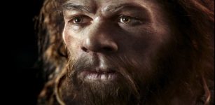 Neanderthals' gene related to pain