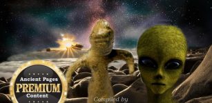 Does A Baffling Artifact Offer Evidence Of Ancient Extraterrestrial Visitation In New Zealand? - The Discovery - Part 1