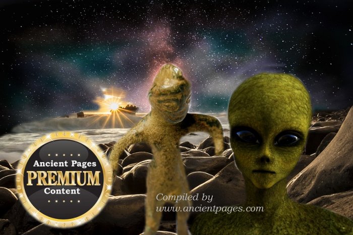 Does A Baffling Artifact Offer Evidence Of Ancient Extraterrestrial Visitation In New Zealand? - The Discovery - Part 1