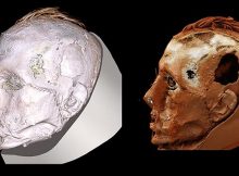 Never-Before-Seen Face Of A Tattooed Tashtyk Man Hidden Behind A Gypsum Death Mask Revealed