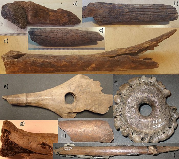 ccelerated Bone Deterioration in Last 70 Years at Famous Mesolithic Peat Bog in Peril