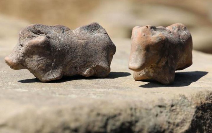 Unique 3,500-Year-Old Clay Pig Figurines Used As ‘Children’s Toys’ Found In Poland