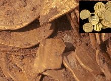 Gold coins dated to Abbasid Dynasty found in Israel