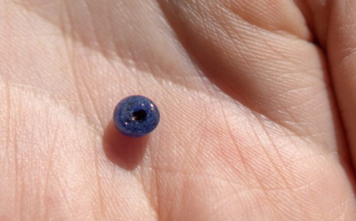 In the same area, archaeologists discovered what they believe was a woman’s grave, based on the artefacts they found – like this bead. Credit: Raymond Sauvage, NTNU University Museum