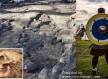 Rare Viking Ship Burial At Gamla Uppsala Reveals Its Secrets – What’s Inside?