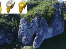 Extraordinaty FInd: The Oldest Neanderthal DNA Of Central-Eastern Europe