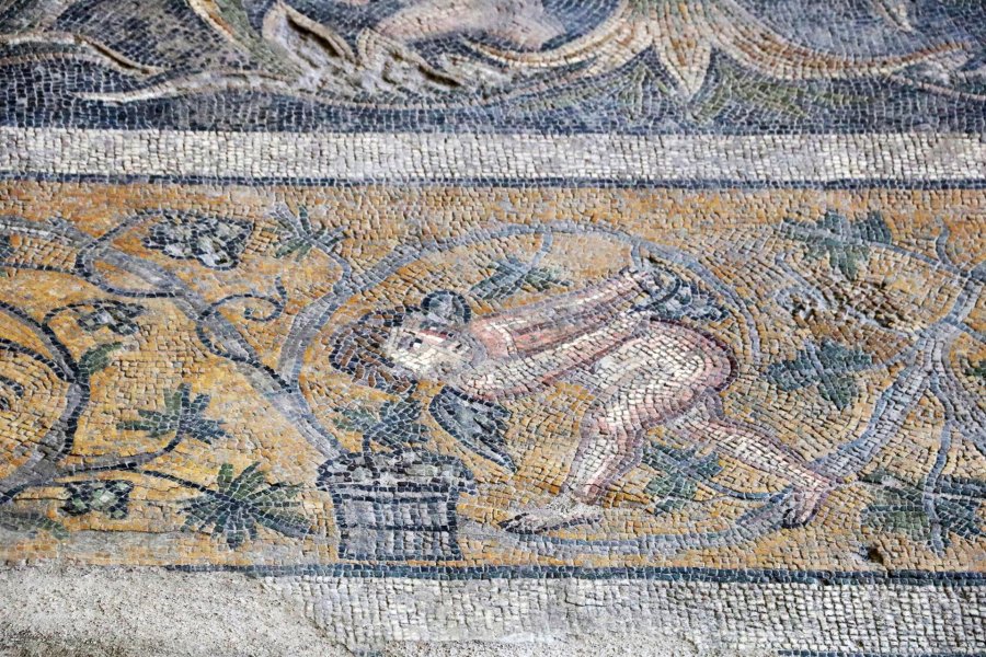 Mosaics unearthed in ancient city of Germanicia