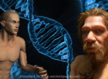 Interbreeding With Modern Humans Wiped Out Neanderthals' Y Chromosomes 100,000 Years Ago