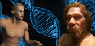 Interbreeding With Modern Humans Wiped Out Neanderthals' Y Chromosomes 100,000 Years Ago