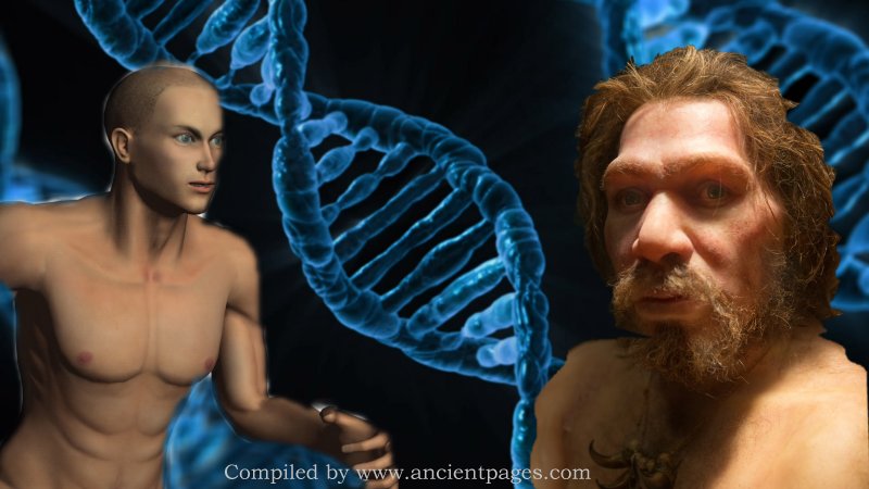 Interbreeding With Modern Humans Wiped Out Neanderthals' Y Chromosomes 100,000 Years Ago
