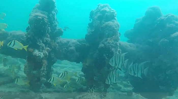 INAH investigate the shipwreck