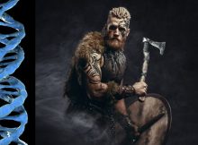 World's Largest DNA Study Of Viking Skeletons Re-Writes Ancient History - Norse Warriors Were Not Those Who We Thought