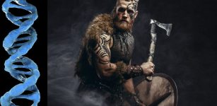 World's Largest DNA Study Of Viking Skeletons Re-Writes Ancient History - Norse Warriors Were Not Those Who We Thought