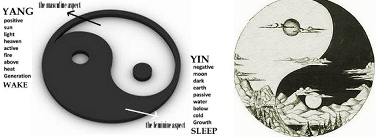 Everything is divided into two principles that are opposite one another in their existence and actions, yin and yang.