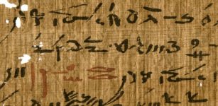 Detail of a medical treatise (inv. P. Carlsberg 930) from the Tebtunis temple library with headings marked in red ink. Image credit: The Papyrus Carlsberg Collection. Credit: The Papyrus Carlsberg Collection.