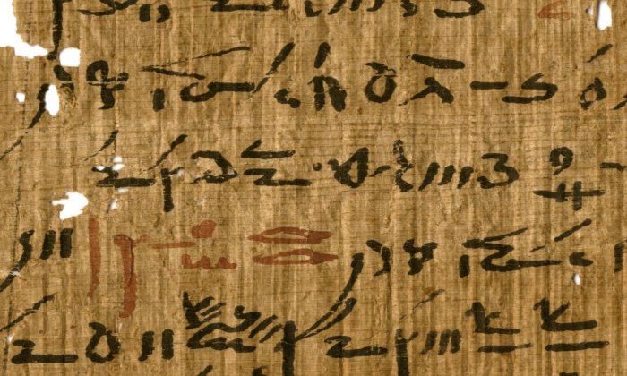 Detail of a medical treatise (inv. P. Carlsberg 930) from the Tebtunis temple library with headings marked in red ink. Image credit: The Papyrus Carlsberg Collection. Credit: The Papyrus Carlsberg Collection.