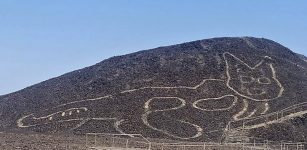 Giant 2,000-Year-Old Cat Geoglyph Discovered At Nazca