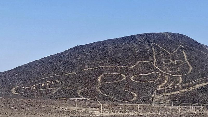 Giant 2,000-Year-Old Cat Geoglyph Discovered At Nazca