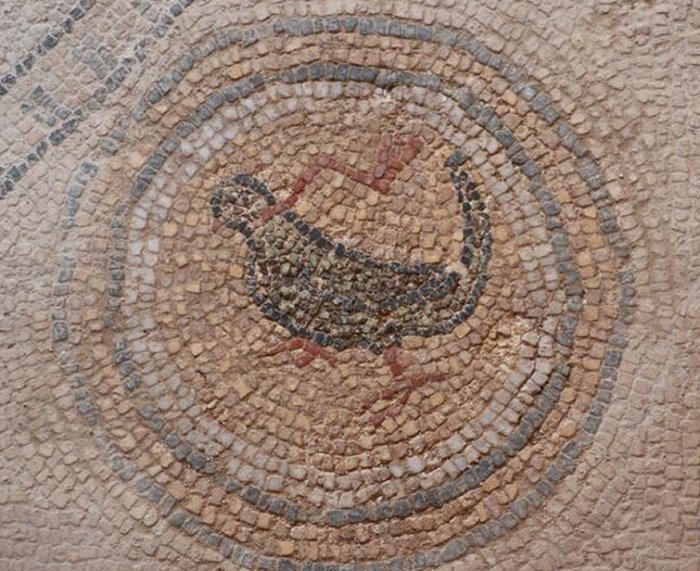 Mosaics similar to those of Zeugma, found in Sinop, Turkey