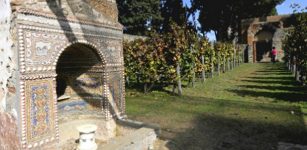 Amazing Restoration Of Ancient Roman Vineyard Buried Underneath The Ash Of Mount Vesuvius For 2,000 Years