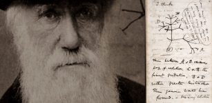 Who Has Stolen Charles Darwin's Notebooks Worth Millions From The University Of Cambridge?