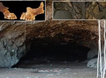 Unique 8,000 Year-Old Child Burial Reveals Its Secrets