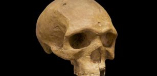 Unusual 260,000-Year-Old Modern-Shaped Florisbad Skull Challenges The Theory Of Evolution