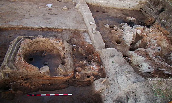  Two kilns from the Early Chalcolithic (Aeneolithic, Copper Age) period – ca. 4,800 – 4,600 BC – which seem to have been part of a prehistoric pottery-making center, have been unearthed at the Bazovets Settlement Mound in Northeast Bulgaria. The Bazovets Settlement Mound harbors the remains of a prehistoric settlement, and is located near the town of Bazovets, Dve Mogili Municipality, Ruse District, close to the Danube River in today’s Northeast Bulgaria. One of the two nearly 7,000-year-old prehistoric kilns, or furnaces, was first partly excavated in the 2019 archaeological season. However, in the latest excavations at the Bazovets Settlement Mound, it was fully exposed and a second kiln from the same Chalcolithic facility has been found, the Ruse Regional Museum of History has announced. The 2020 archaeological excavations at the Copper Age settlement in question took place in September, and were led by archaeologist Dimitar Chernakov from the Ruse Regional Museum of History, and his deputy, archaeologist Irena Ruseva from the Svilengrad Museum of History, with archaeologists from the Dobrich Regional Museum of History and the Veliko Tarnovo University “St. Cyril and St. Methodius" also participating. A total of 57 archaeological artifacts from the said Early Chalcolithic period (4,800 – 4,600 BC) have been found during the latest excavations at the Bazovets Settlement Mound. An aerial view of the Bazovets Settlement Mound, a 7,000-year-old prehistoric settlement in Northeast Bulgaria close to the Danube River. Photo: Ruse Regional Museum of History An aerial view of the nearly 7,000-year-old Early Copper Age structures exposed during the 2020 excavations of the Bazovets Settlement Mound. Photo: Ruse Regional Museum of History These include artifacts made of flint, animal bones, horns, and ceramics – including fragments from anthropomorphic and zoomorphic figurines. As a result of the research of the Early Copper Age archaeological layer on the site, the archaeologists discovered that the easternmost periphery of the prehistoric settlement was used for manufacturing. The second of the prehistoric kilns, which was found during the 2020 excavations, had two chambers, a lower chamber for the burning to generate heat, and an upper chamber for the baking of the pottery items. The Early Chalcolithic kiln was 1.2 meters long, and 1 meter wide, and it was made of wood wattle plastered with a thick layer of clay from the inside and outside. The opening of the kiln was on its southeastern side, and it was closed with three flat stones which have been discovered right next to it. The kiln had a groove that would allow for the regulating of the heating temperature, a type of furnaces for the baking of clay that would also be used in later archaeological eras, the Ruse Museum of History notes. Above the two kilns, the archaeologists have discovered the ruins of a rectangular building with a north-south orientation. Right next to its entrance, there was a small room seemingly used for food storage where the researchers have unearthed traces from food residue such as animal bones and lots of shells from freshwater mollusks. In addition to the nearly 7,000-year-old Early Chalcolithic pottery-making kilns, during their 2020 excavations at the Bazovets Settlement Mound, the archaeologists have also found and started to unearth a prehistoric building which was even older than the kilns themselves. The 2020 excavations of the 7,000-year-old Bazovets Settlement Mound near Bulgaria’s Danube city of Ruse took place in September 2020, building upon the partial exposure of one of the Copper Age kilns in the 2019 season. Photo: Ruse Regional Museum of History The prehistoric building in question was built of wood and clay, and was destroyed by a large fire. In its southern part, the archaeologists have found several intact pottery vessels and bases as well as a horn tool which were placed on a podium. They are going to continue researching the prehistoric building further during their next excavations of the Bazovets Setttlement Mound. In the Neolithic and Chalcolithic, the territory of today’s Bulgaria and much of the rest of the Balkans, for instance today’s Romania and Serbia, saw the rise of Europe’s first civilization, the prehistoric civilization of the Lower Danube Valley and Western coast of the Black Sea. This prehistoric civilization from the Neolithic and Chalcolithic, which had the world’s oldest gold, Europe’s oldest town, and seemingly some of the earliest forms of pre-alphabetic writing, is referred to some scholars as “Old Europe". It predates the famous civilizations of Minoan Crete, Mycenaean Greece, Ancient Egypt and Ancient Mesopotamia by thousands of years. *** Please consider donating to us to help us preserve and revive ArchaeologyinBulgaria.com to keep bringing you more and more exciting archaeology and history stories. Learn how to donate here: Emergency Call for Donations to Save ArchaeologyinBulgaria.com amid the Pandemic Fallout *** Ivan Dikov, the founder of ArchaeologyinBulgaria.com, is the author of the book Plunder Paradise: How Brutal Treasure Hunters Are Obliterating World History and Archaeology in Post-Communist Bulgaria, among other books. *** **************************************************************************** Support ArchaeologyinBulgaria.com on Patreon with $1 per Month! Become a Patron Now! or Make One-time Donation via Paypal! Your contribution for free journalism is appreciated! **************************************************************************** Download the ArchaeologyinBulgaria App for iPhone & iPad! Follow us on Facebook, Twitter, Tumblr, Pinterest! Share this: Share 2Save PocketTelegramWhatsApp Share EmailPrint Like this: Loading... Related 6,500-Year-Old Skeleton Discovered in Chalcolithic Settlement with Pottery Workshop near Bulgaria’s Suvorovo August 26, 2018 In "Prehistory" Mouthless Prehistoric ‘Alien’ Mask Mixing Human, Animal Features Found in Salt Pit Settlement Mound in Bulgaria’s Provadiya November 15, 2020 In "Prehistory" Archaeologists Find 6,300-Year-Old Gold Jewel in Solnitsata (‘The Salt Pit’) Prehistoric Town in Bulgaria’s Provadiya September 24, 2015 In "Prehistory" Tags: Aeneolithic, anthropomorphic, archaeologist, Bazovets, Bazovets Settlement Mound, bone, bones, ceramic oven, ceramic vessels, ceramics, Chalcolithic, Chalcolithic Civilization, Copper Age, Dimitar Chernakov, Dobrich Regional Museum of History, Dve Mogili Municipality, Early Chalcolithic, excavations, figurine, flint, flint tools, freshwater mollusk, furnaces, horn, Irena Ruseva, kiln, mollusk, Old Europe, pottery, pottery vessels, prehistoric settlement, prehistoric tools, prehistory, Ruse Regional Museum of History, settlement mound, Svilengrad Museum of History, Veliko Tarnovo University “St. Cyril and St. Methodius", wattle, zoomorphic LIKE US ON FACEBOOK! Leave a Reply You must be logged in to post a comment. This site uses Akismet to reduce spam. Learn how your comment data is processed. ← Scandal Erupts as Roman Mosaics Get Trampled On in Villa Armira Mansion near Bulgaria’s Ivaylovgrad Massive Hexagonal Tower Keep, Horn Workshop Excavated in Medieval Fortress Rusocastro in Southeast Bulgaria →