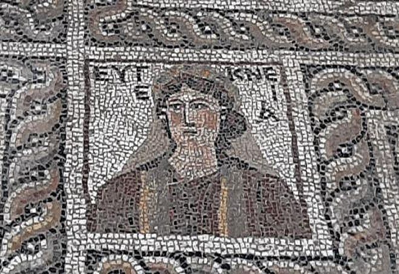 Mosaic found in Flaviapolis. Museum of Osmaniye