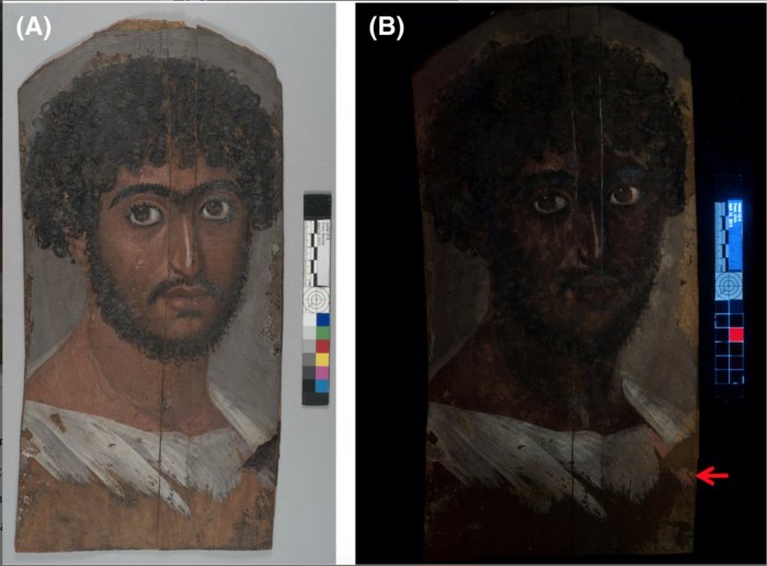 (A) “Portrait of a Bearded Man” (Walters Art Museum #32.6), dated c. 170-180 CE from Roman Imperial Egypt; (B) The portrait under ultraviolet light. The purple clavi on the shoulders appear pink-orange, indicated by an arrow.