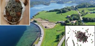 Hundreds Of Highly Unusual Burial Gifts Found In Special Viking Chamber Belonging To Woman In Norway