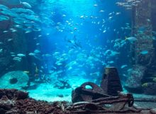 Mystery Of Brazilian Atlantis The World Forgot About