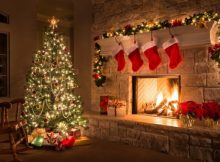 Ancient History Of The Christmas Tree And Its Pagan Roots - How The 'Forbidden' Tree Survived Against All Odds