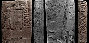 Rare Lost Pictish Stone With Strange Mythical Beasts Goes On Display For The First Time