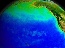 The Pacific Ocean's currents support a diverse ecosystem, seen here from space with green indicating blooms of photosynthesizing plankton. Warmer currents during the ice age may also have supported early human settlements. Credit: NASA/Goddard Space Flight Center, The SeaWiFS Project and GeoEye, Scientific Visualization Studio