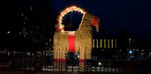 The Magnificent Yule Goat In Gävle, Sweden Has Finally Arrived